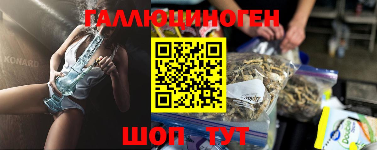 Псилоцибиновые грибы Psilocybe Сосновоборск
